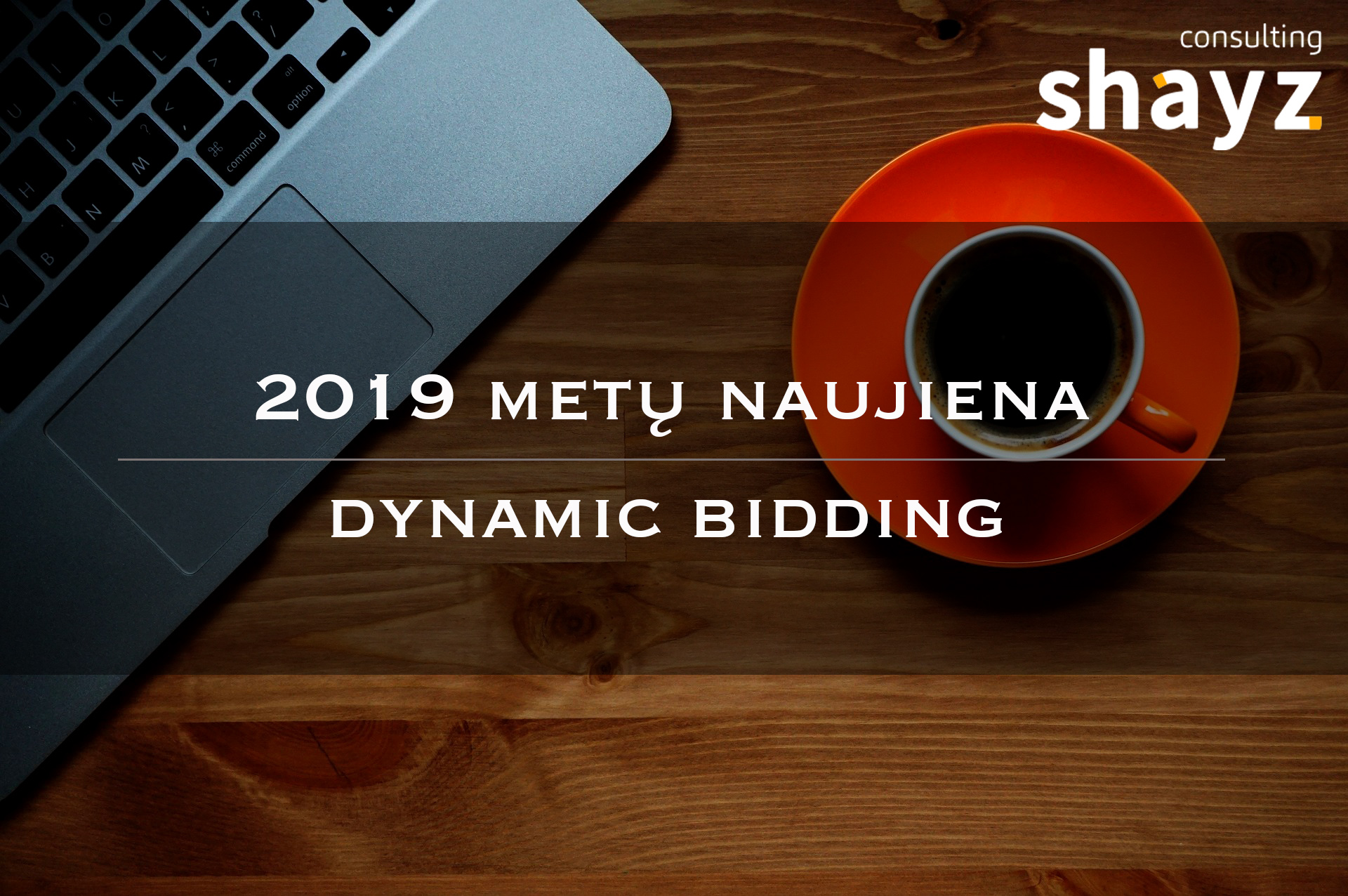 2019 metų naujiena – dynamic bidding